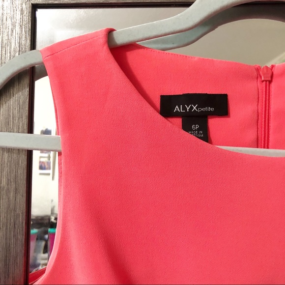 ALYX Petite Coral Sheath Career Dress Size 6P - Picture 4 of 5
